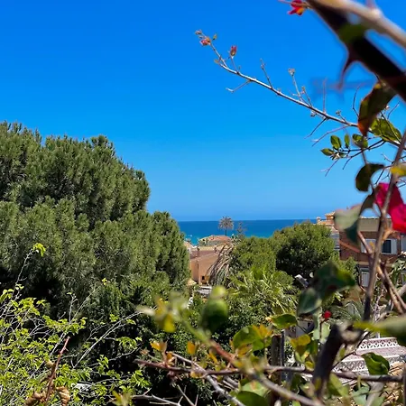 La Heredad - En La Zenia Villa *